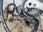 Immagine 5