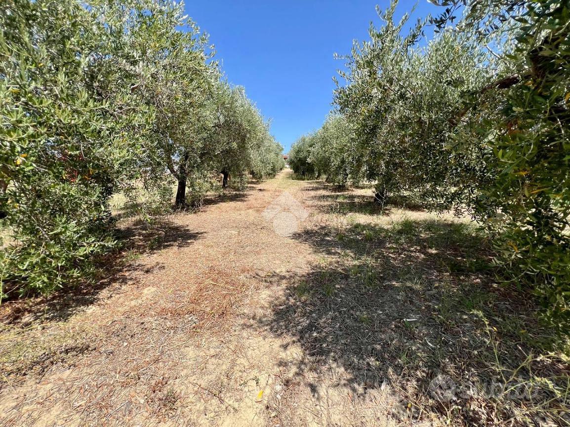 TER. AGRICOLO A MOSCIANO SANT'ANGELO - Vista 6