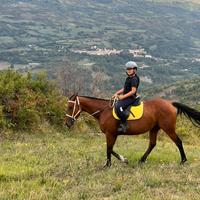 Pony arabo