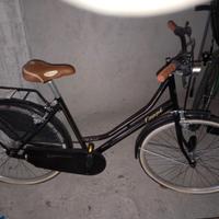 bicicletta da passeggio