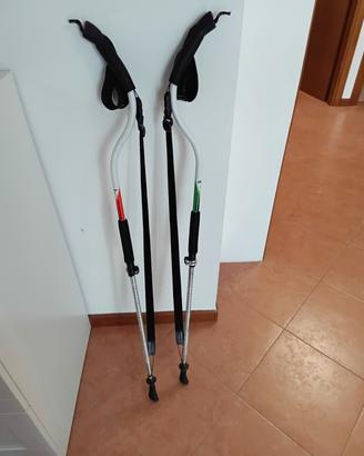  Ergocurve bastoncini skyrace 600 di N&W Curve