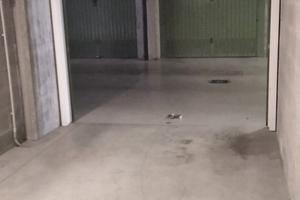 BOX recente costruzione