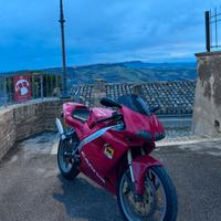 Cagiva Mito 125 EV 2004 - Conservata