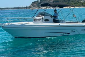 Ranieri Shadow 28 2 X 300 Mercury