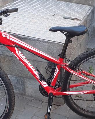 Mountanbike hardrock