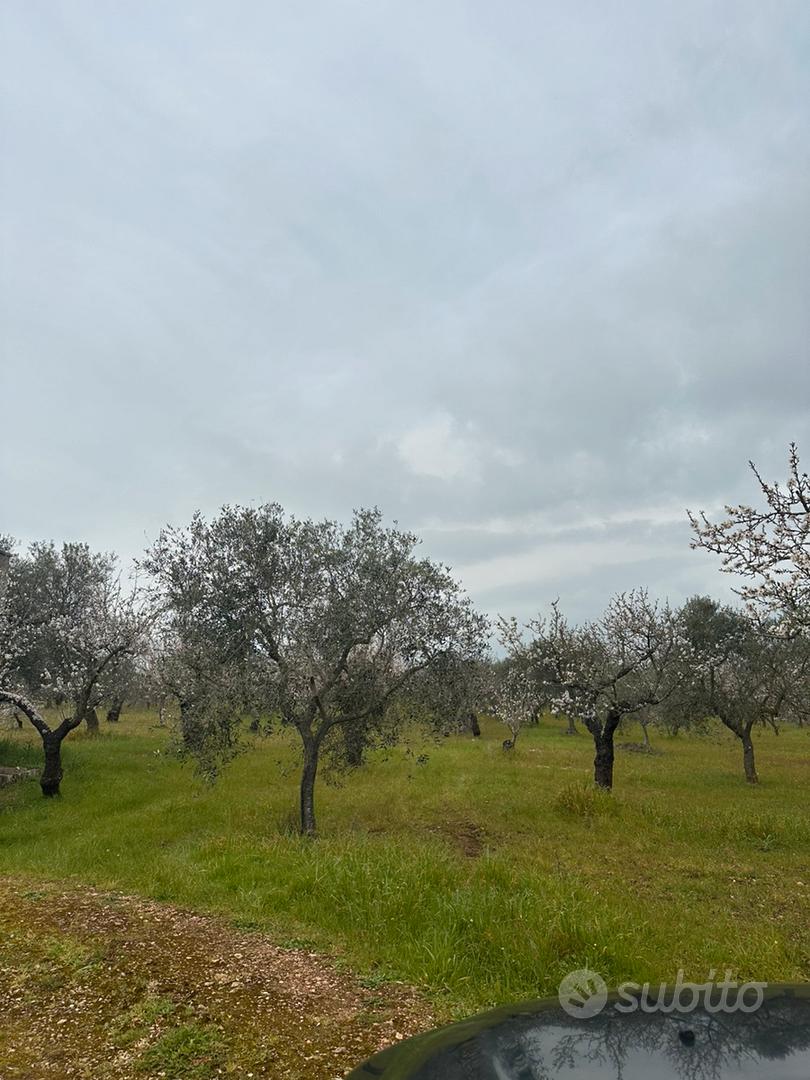Terreno rustico - Vista 4
