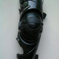 Ginacciera EVS carbonio