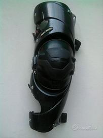 Ginacciera EVS carbonio