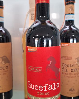 vini cantina orsogna