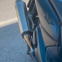 terminale AKRAPOVIC per sh 300