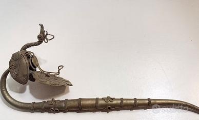 pipa asiatica vietnamita 