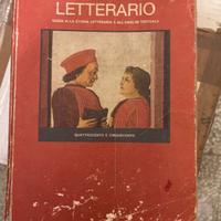 Il sistema letterario guglielmino grosser