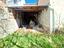 Immagine 26