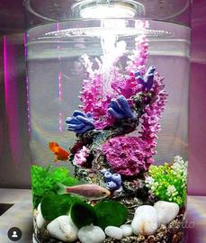 acquario biorb