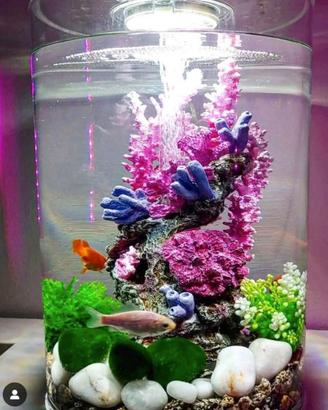 acquario biorb