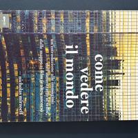 Come vedere il mondo-una inteoduziome alle immagin