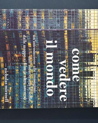 Come vedere il mondo-una introduzione alle immagin