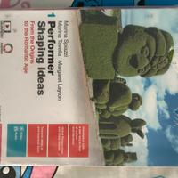 Libro Performer 1 Shaping Ideas