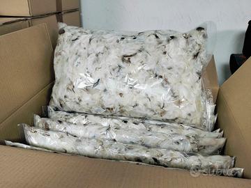 Imbottitura piumette d'oca cuscini conf. da 250 g.