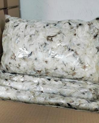 Imbottitura piumette d'oca cuscini conf. da 250 g.