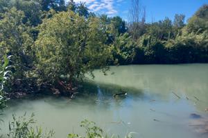 Terreno sul fiume ideale x rimessaggio