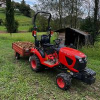 KUBOTA BX231