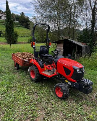 KUBOTA BX231