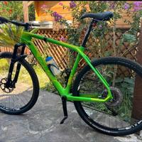 Wilier Triestina 501 xn carbon 29 taglia XL