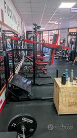 Pendulum squat Evolution 