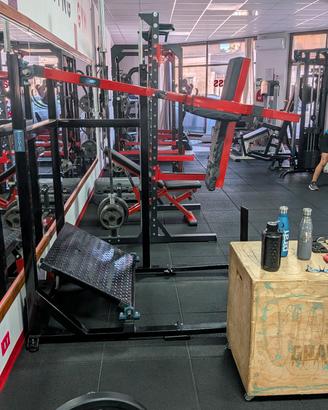 Pendulum squat Evolution 
