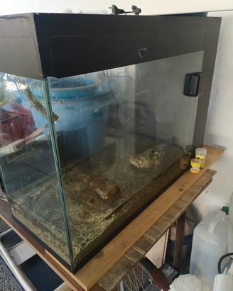 Acquario in buone condizioni