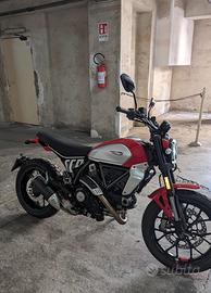 Ducati scrambler 800 icon 2024