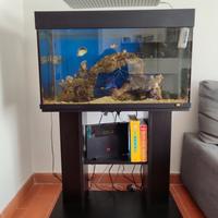 acquario juwel 120