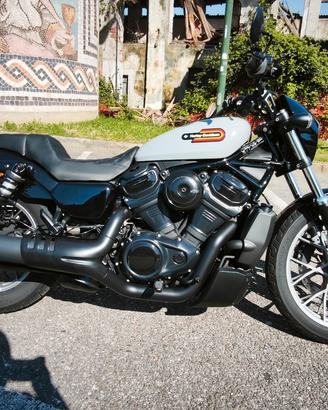 Harley Davidson nightster 975 Special 2025