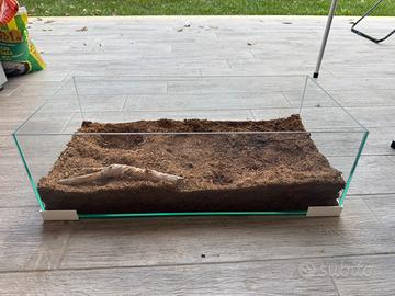 Teca per rettili