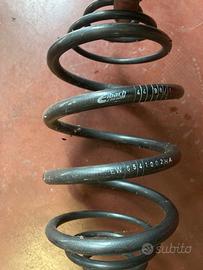 Molle assetto ribassato