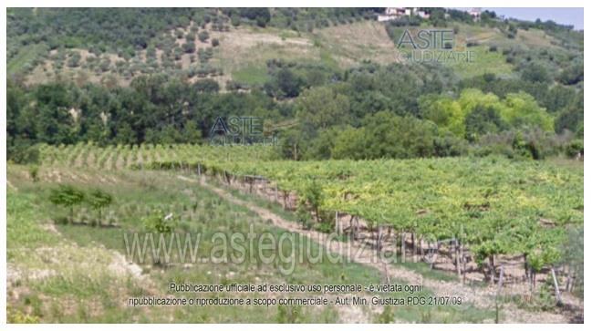Terreno Agricolo Lanciano [A4344521] - Vista 2