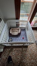 recinto per cani 