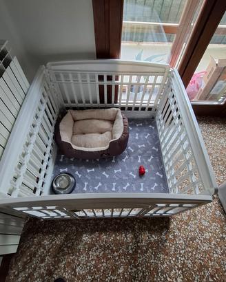 recinto per cani 