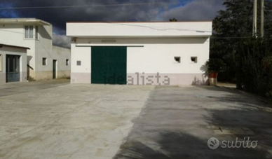 Capannone artigianale