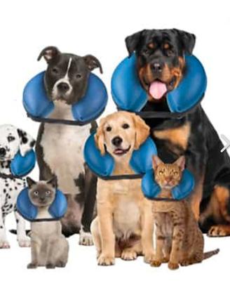 Collare elisabettiano gonfiabile tg S x cani/gatti