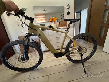 Lombardo selinunte 29