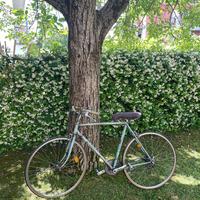 Bicicletta "Edoardo Bianchi" Vintage