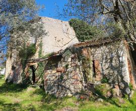 CASA DI CORTE A VEROLI