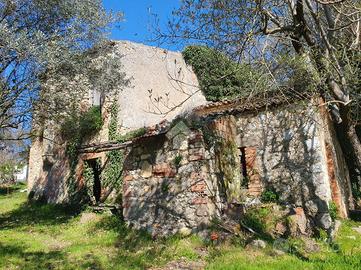 CASA DI CORTE A VEROLI