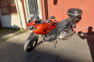 Yamaha TDM 900 - 2008