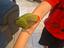 Immagine 4