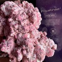 Rocce aquaforest acquario marino