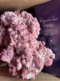 Rocce aquaforest acquario marino