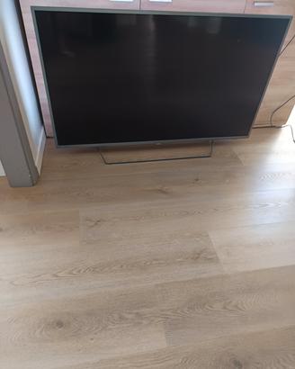TV Philips 55 pollici 